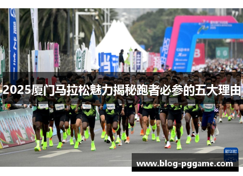 2025厦门马拉松魅力揭秘跑者必参的五大理由